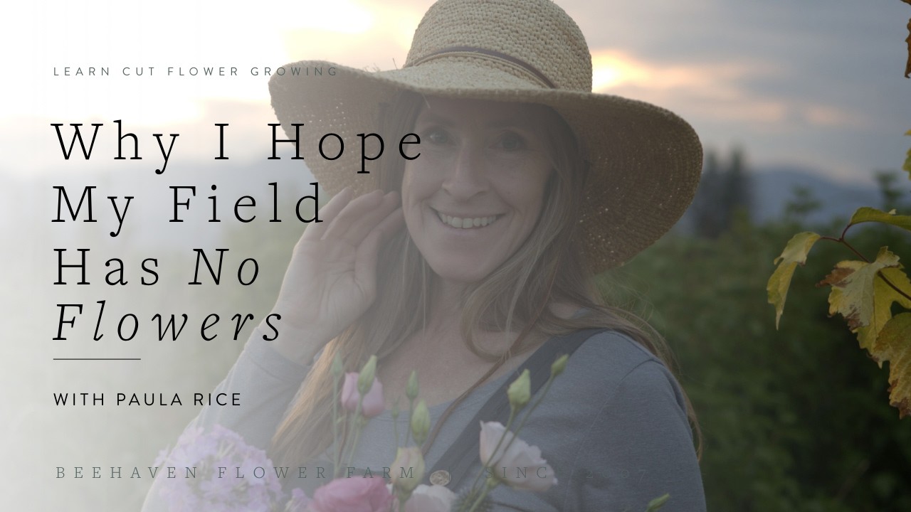 Why I Hope My Field Has No Flowers