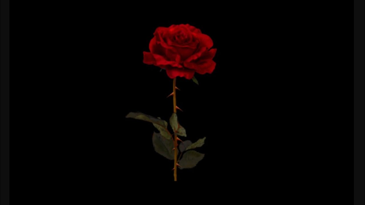 [FREE] Melodic Piano Type Beat | Emotional Type Beat | *ROSE'S* | LJ beats 2023