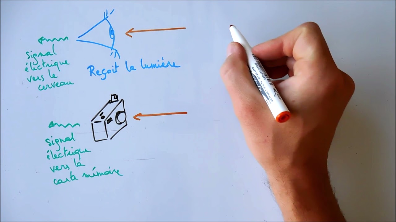 Sources et récepteurs de lumière