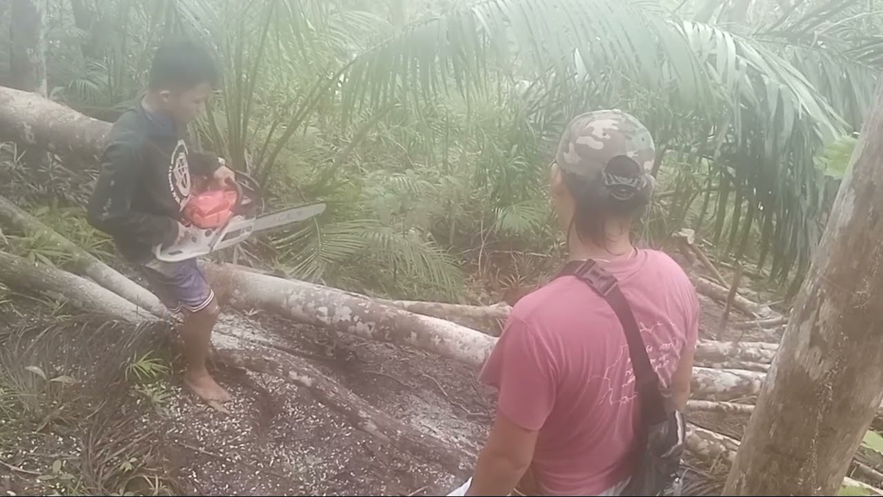 Before,During & After Typhoon Odette saved videos by FranzRhythm 1280x720 3