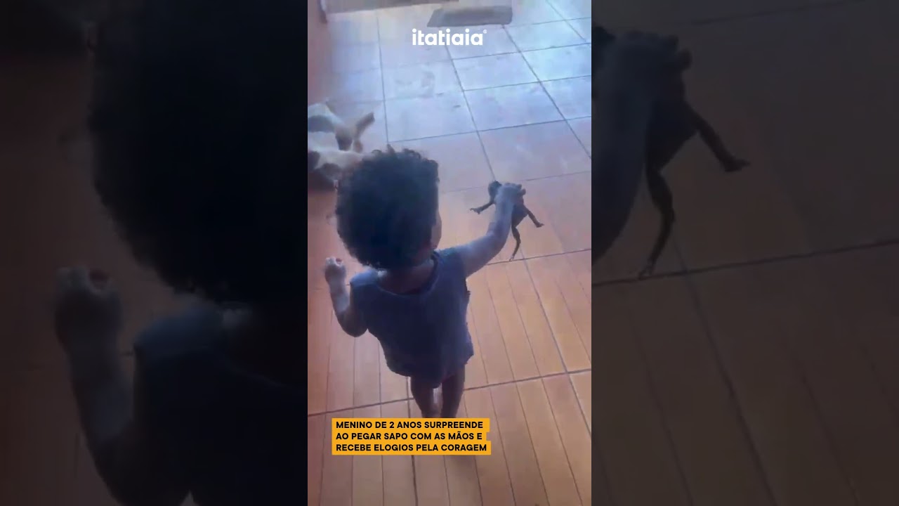 MENINO DE 2 ANOS SURPREENDE AO PEGAR SAPO COM AS MÃOS E RECEBE ELOGIOS PELA CORAGEM