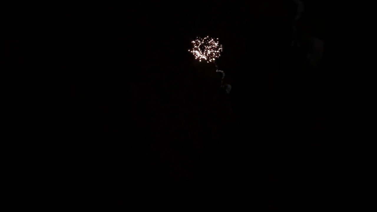 Luypaers Boa constrictor🧨 #singleshots #feuerwerk #fireworks #pyro #vuurwerk