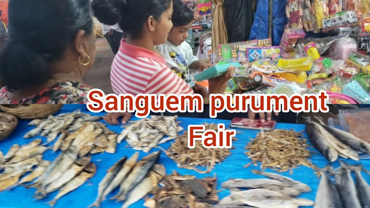 went to sanguem fair with my family/vlog by my husband/Goan youtuber/konkani vlog