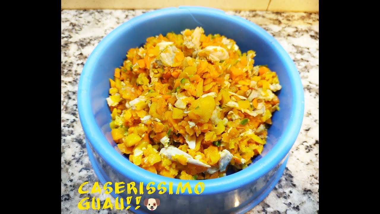 COMIDA ULTRA SANA PARA PERROS!! Sufre de estómago o intestinos? Acá podes tener la solución!