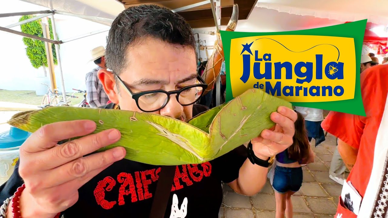 El mejor PULQUE de México
