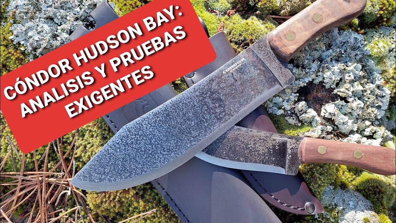 CÓNDOR HUDSON BAY: ANÁLISIS Y PRUEBAS EXIGENTES