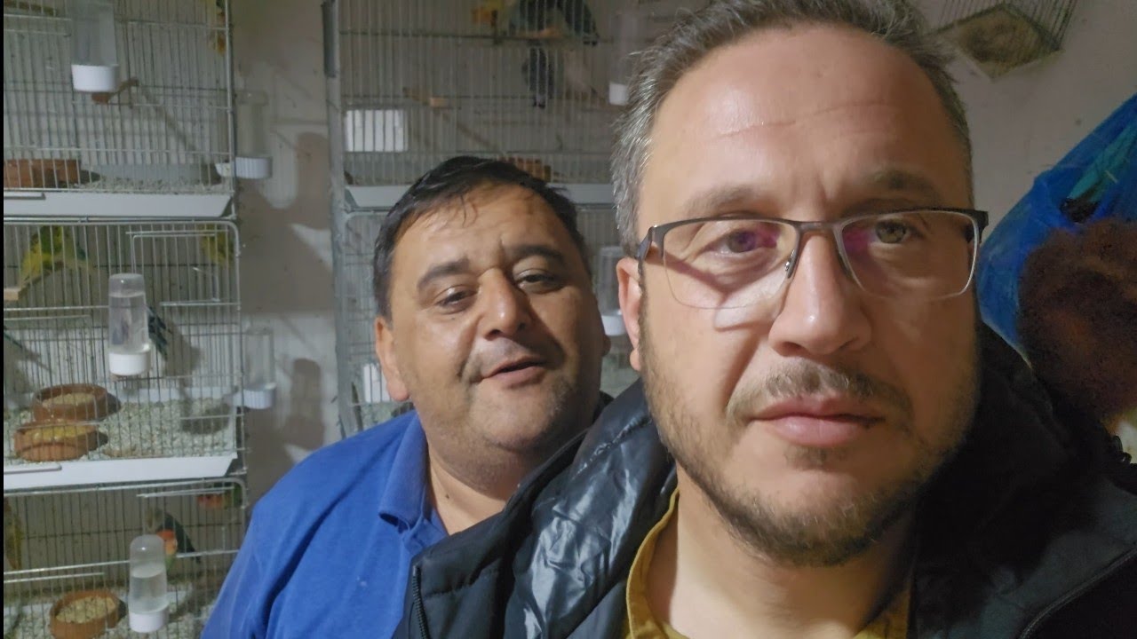 Deniz Akvaryumu Anemon Yemlemesi