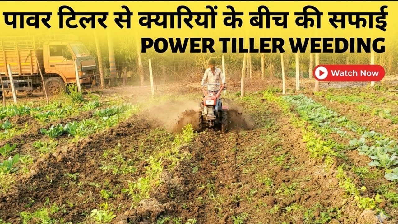 Power Weeder का सही इस्तेमाल करके अच्छी पैदावार। | आप भी बिना मजदूर लगाए खेती कर सकते हैं | #krishi 