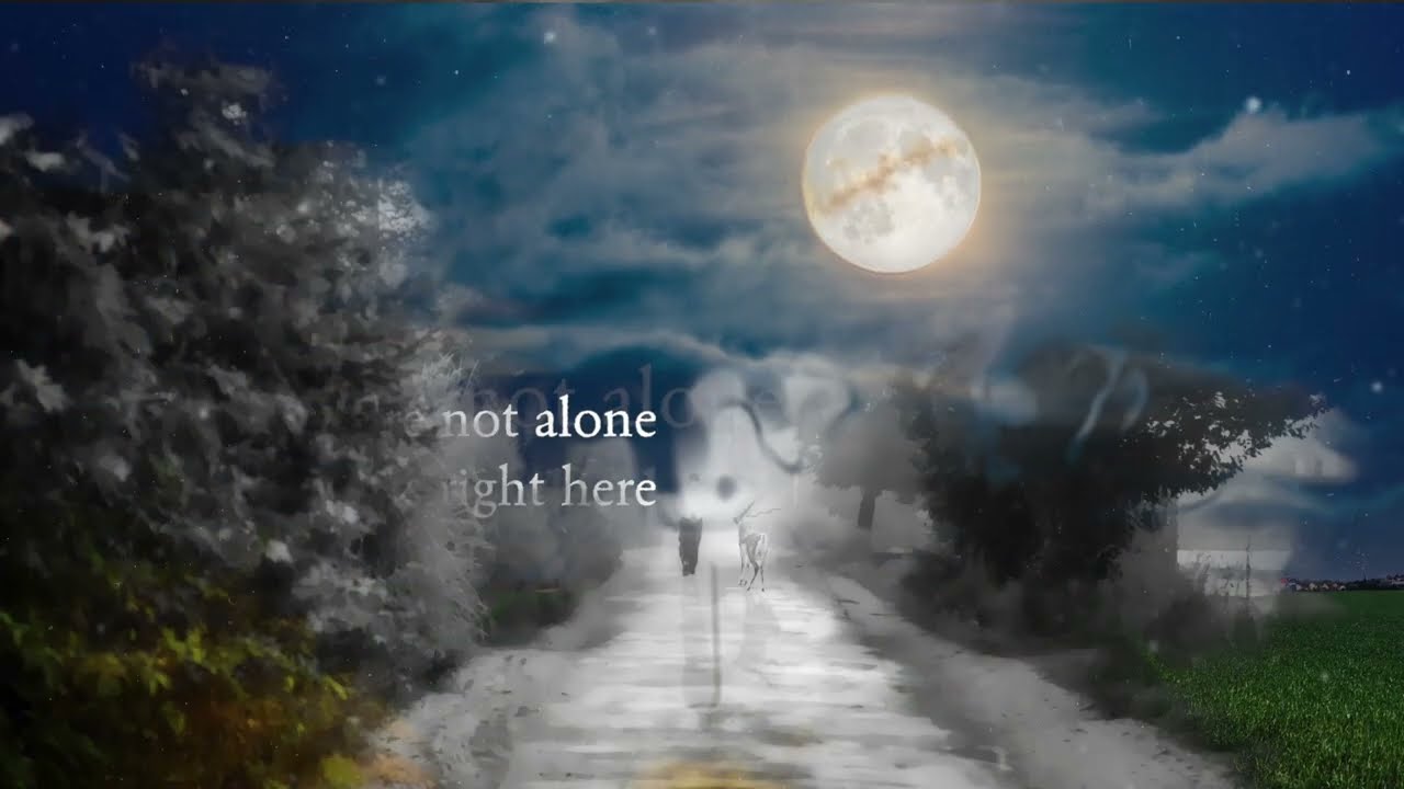 Singing In The Dark By Carrie Newcomer (Written by Carrie Newcomer & John McCutcheon)