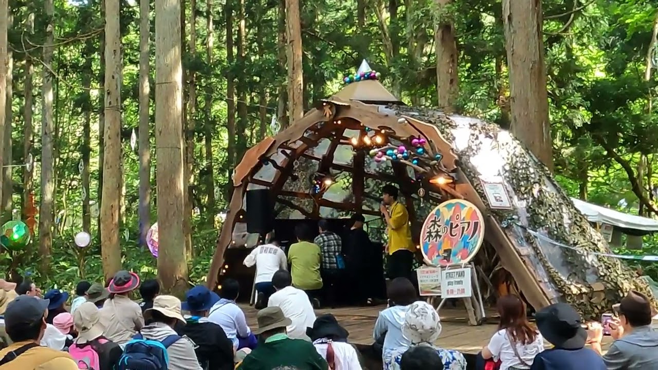 Shugo Tokumaru (トクマルシューゴ) Live at Fuji Rock Fes'24 Naeba Ski Resort, Yuzawa-cho, Niigata