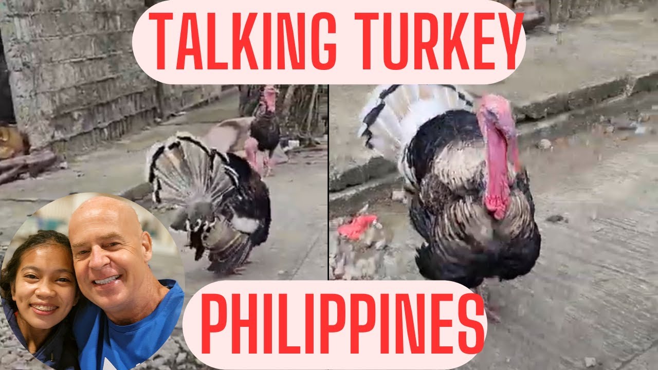 Can you Talk Turkey? 🇵🇭 