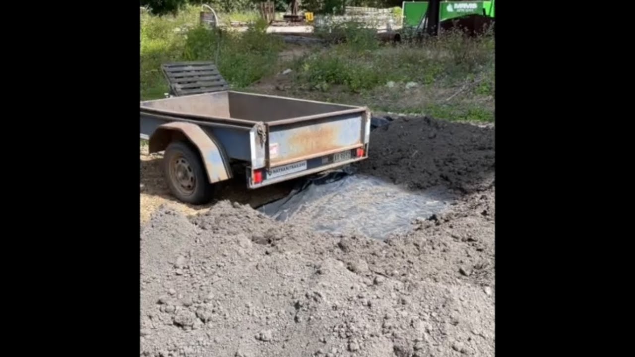 Mill Mud And Tree Lettuce