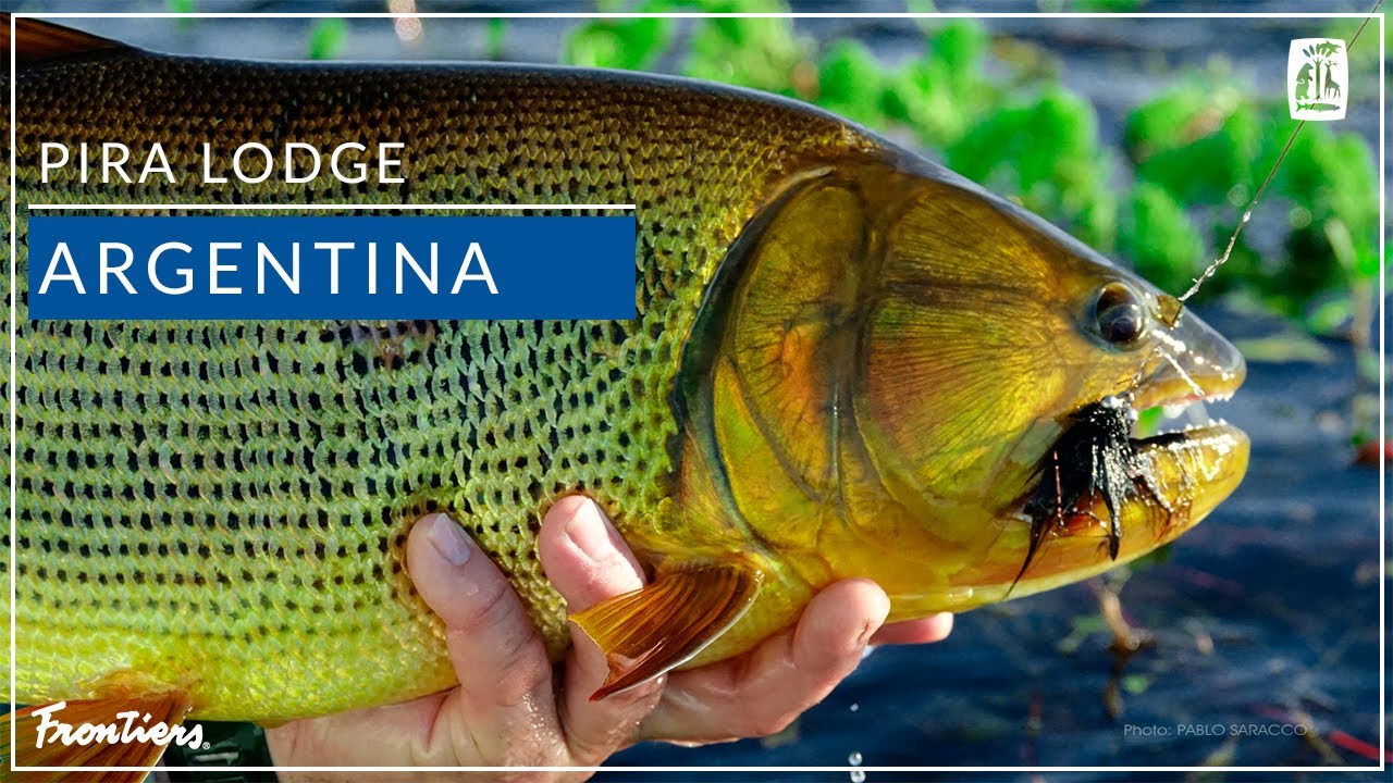Pira Lodge | Argentina
