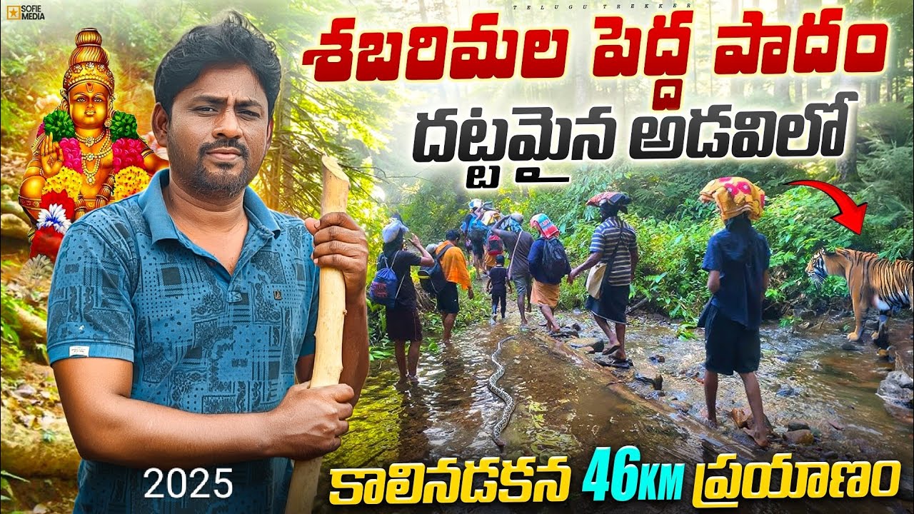 శబరిమల పెద్ద పాదం యాత్ర | దట్టమైన అడవిలో 46 km | పూర్తి వివరాలు | Sabarimala Peddapadam Tour  Telugu
