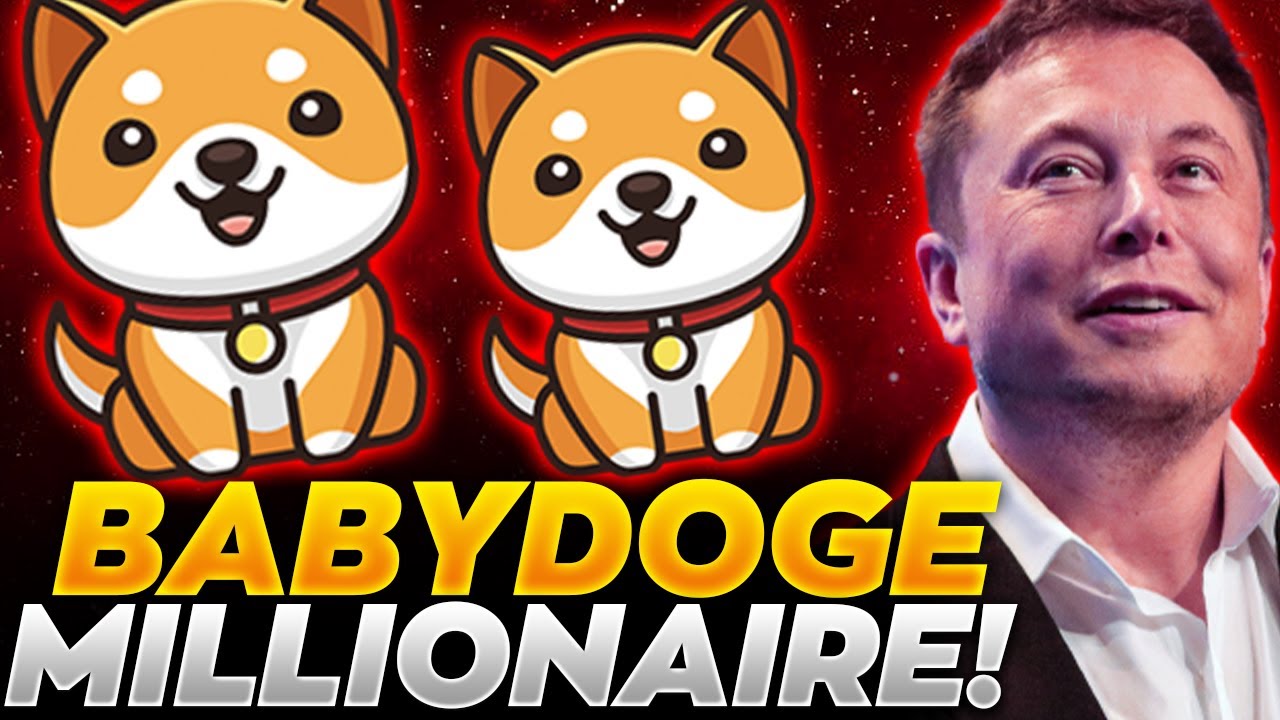 Babydoge News Today-Babydoge Will Make You a Millionaire-Babydoge Explosion is Just here!
