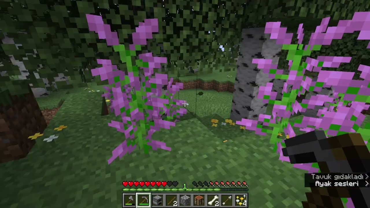 Pikseller ve espriler | Minecraft Survival 1