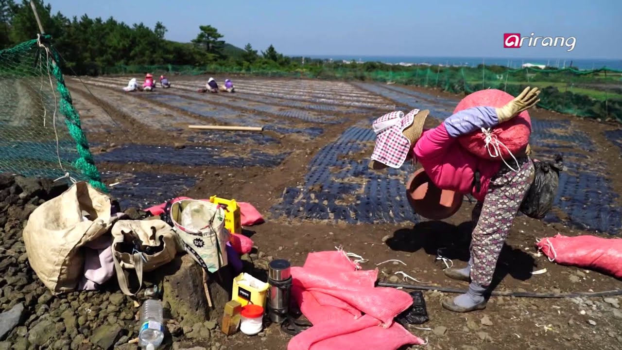 In Frame S3 Ep6 - Jeju, a Gift from Volcanoes