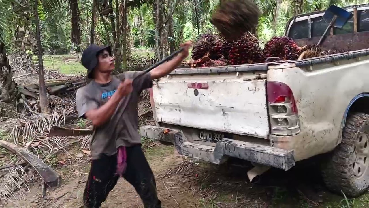 Ka hujan hari tok sis