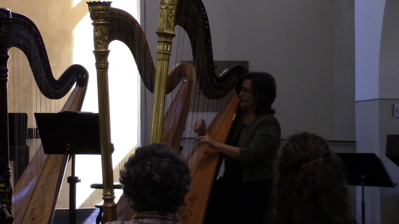 Laura Logan Brandenburg plays Harp of the Western Wind