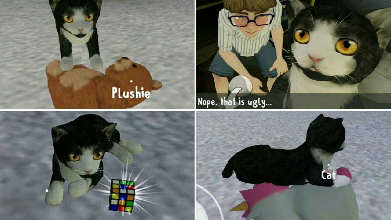 Playing with Pet Cat in Ice Scream 2