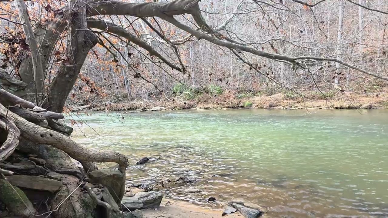 The River Remembers: Grief Mediation 