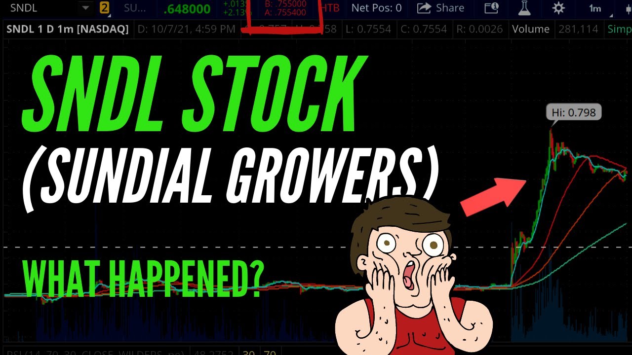 HUGE SNDL (Sundial Growers) Stock News & Update!  Are you BUYING the $SNDL?