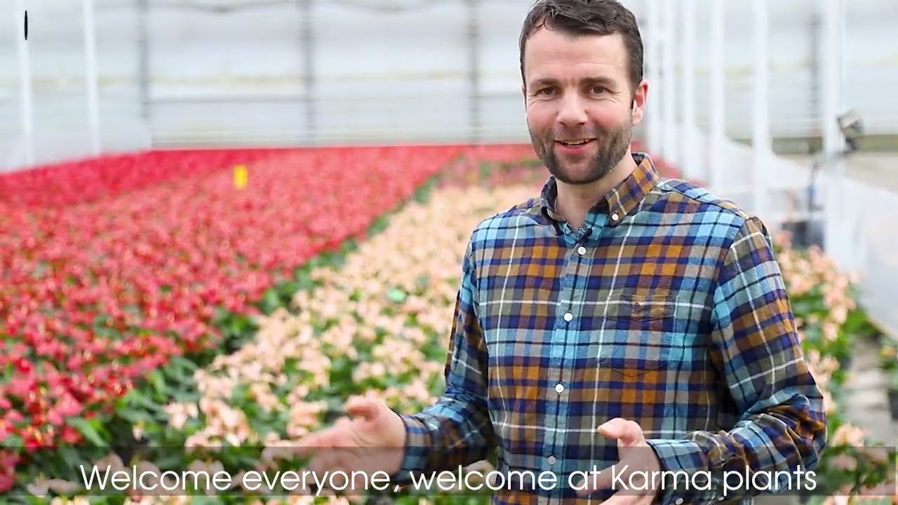 Grower of the month May: Karma Plants