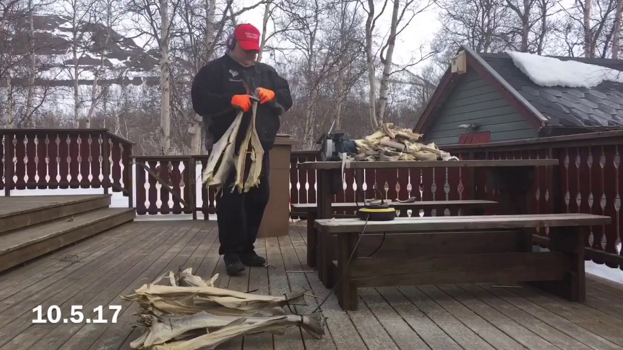 T&oslash;rrfisk kapping med farlig redskap