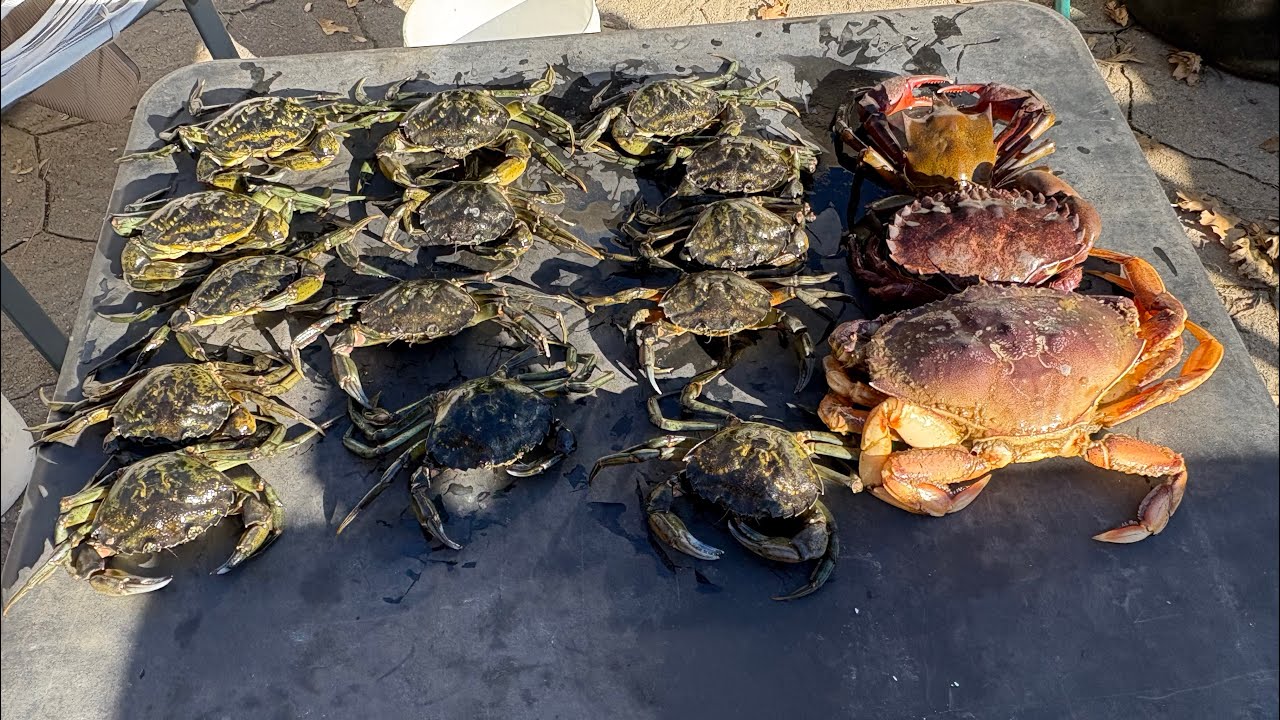 Crabbing Bodega Bay