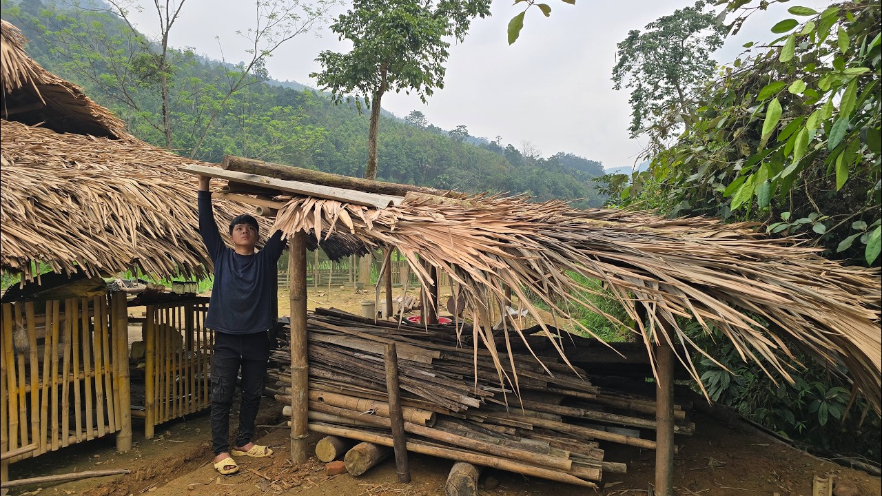As the rainy season approaches, Thanh is renovating his house to store and preserve dry firewood.