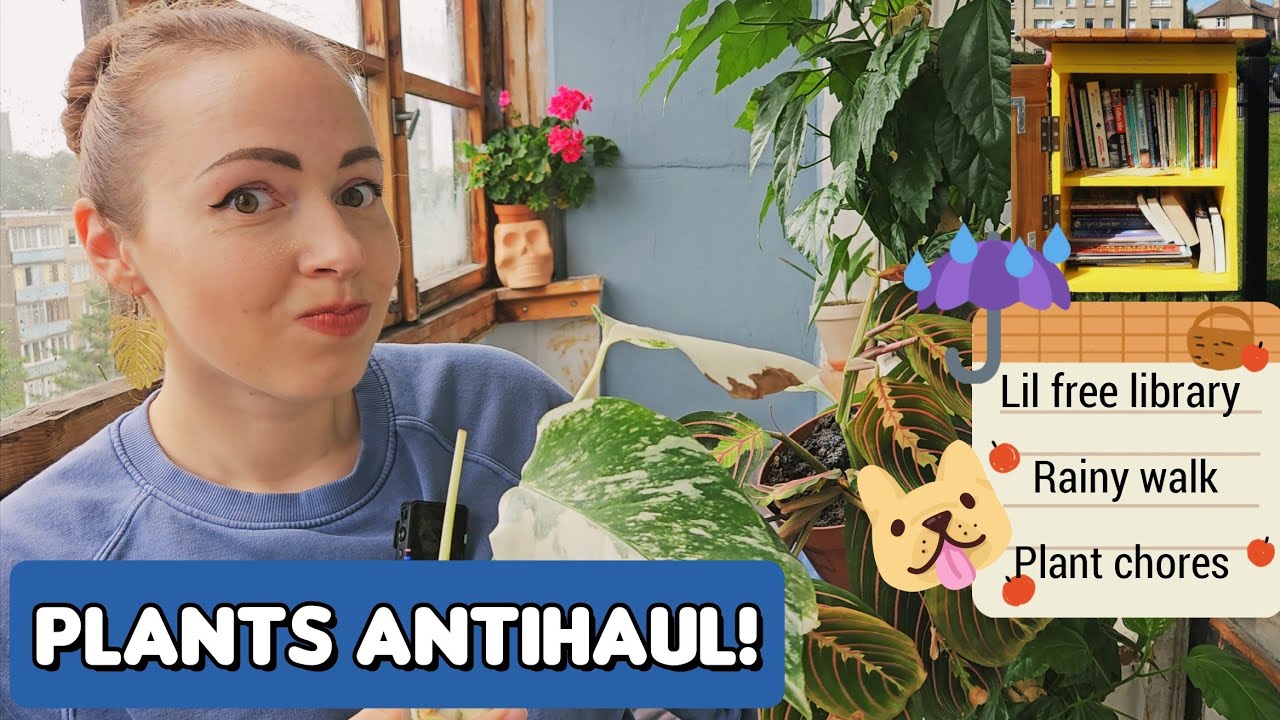 Houseplants Im getting rid of - ANTIHAUL💀🌿 and cozy rainy days 🌧