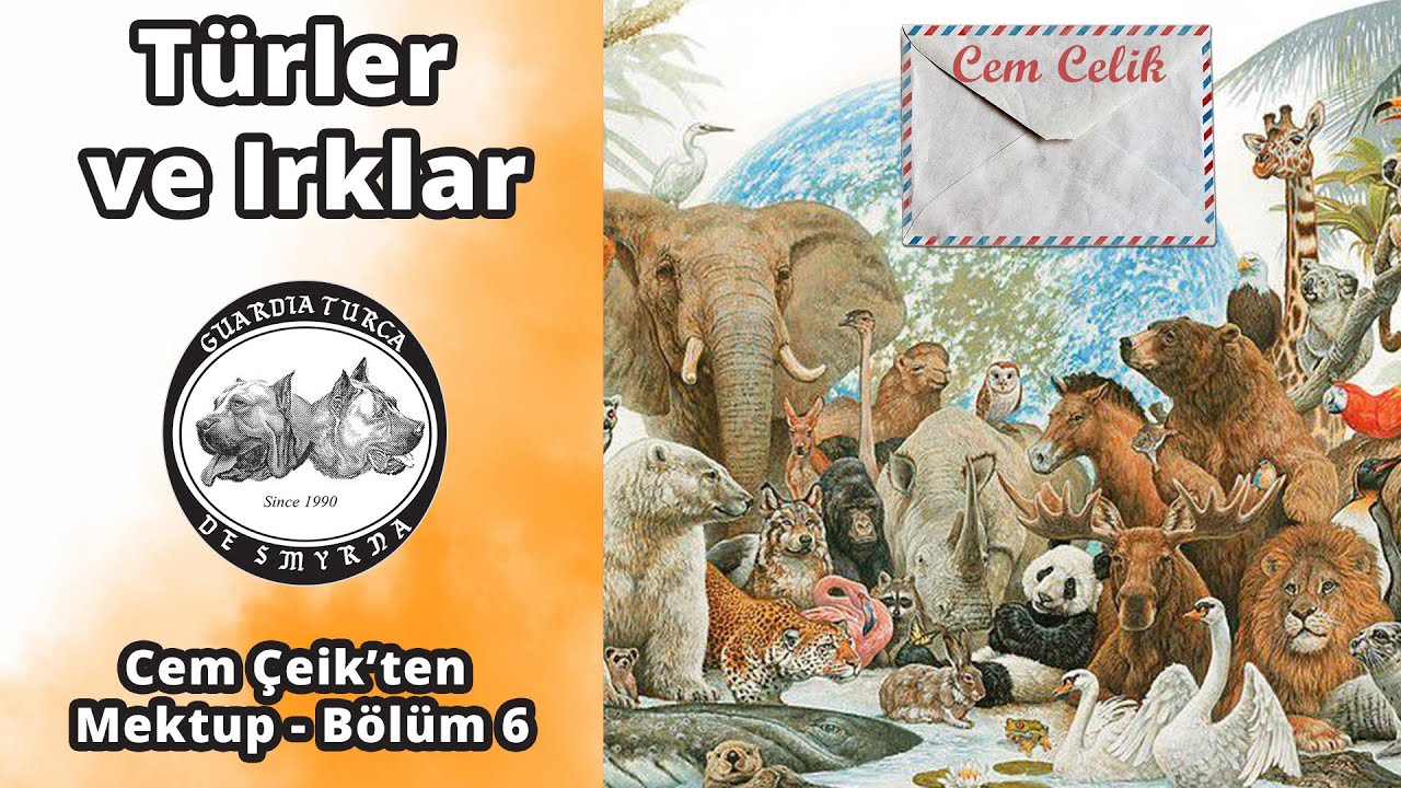 Cem Çelik'ten Mektup Bölüm 6 - Türler ve Irklar