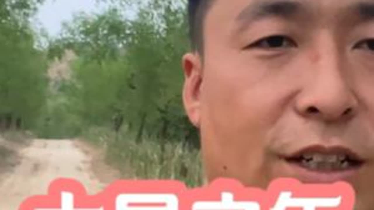 山西吕梁山区，遇上大旱之年，地里的庄稼都晒干了，农民种地真难 #农村生活 #我与土地的故事