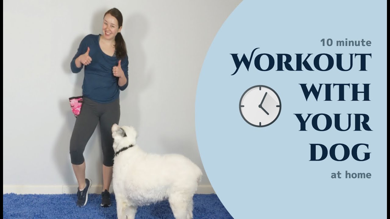 10 minute Workout with your Dog at Home!