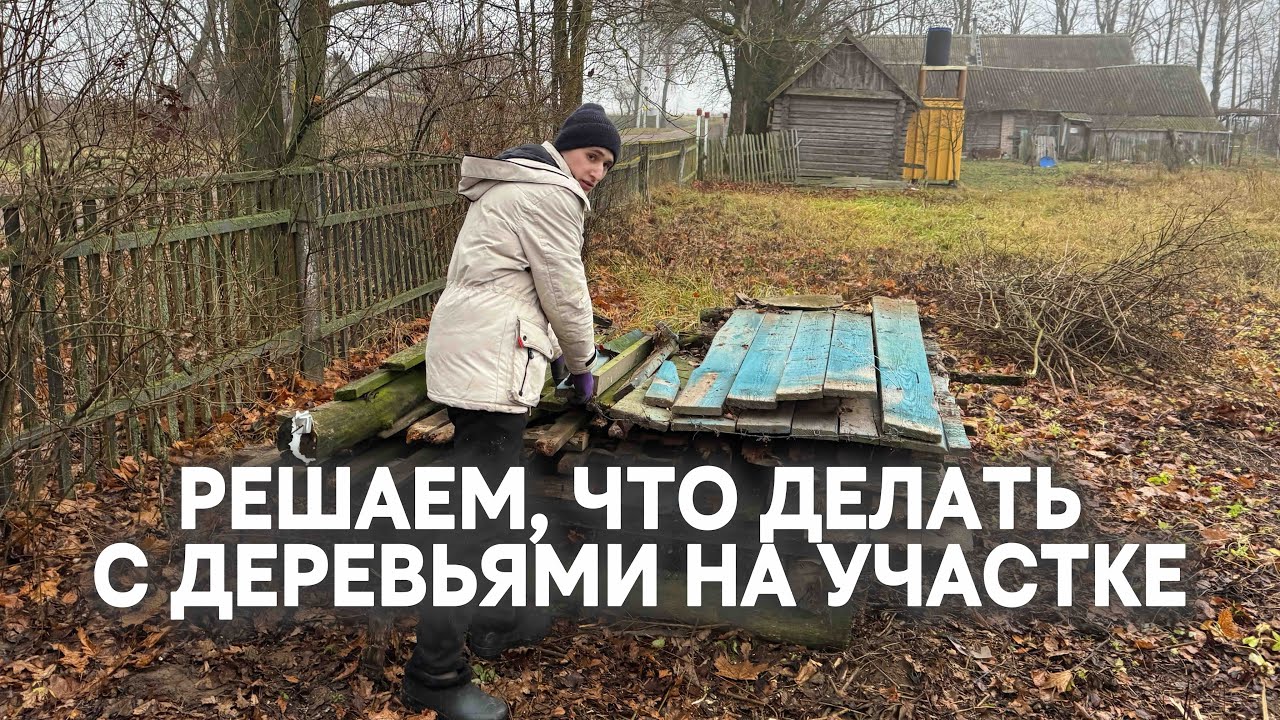 СНЕСЛИ СГНИВШИЙ ЗАБОР НА УЧАСТКЕ | Ящерицы под шифером и колючая проволока [3]