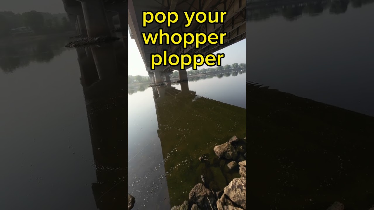 YOU Are Fishing The Whopper Plopper WRONG!
