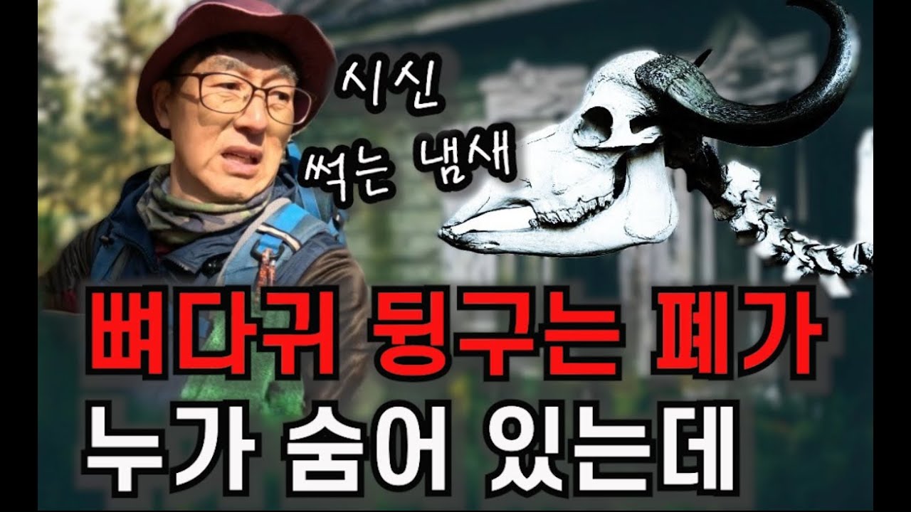 숲 속 폐가 에서 무슨 일이 일어 난 걸까 ? 이곳은 생지옥 이었다 !