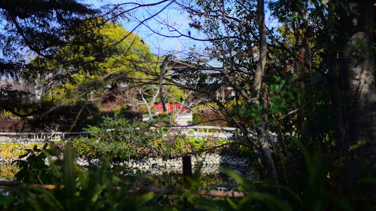 静岡県　掛川市　清水庭園　Nikon  D750 