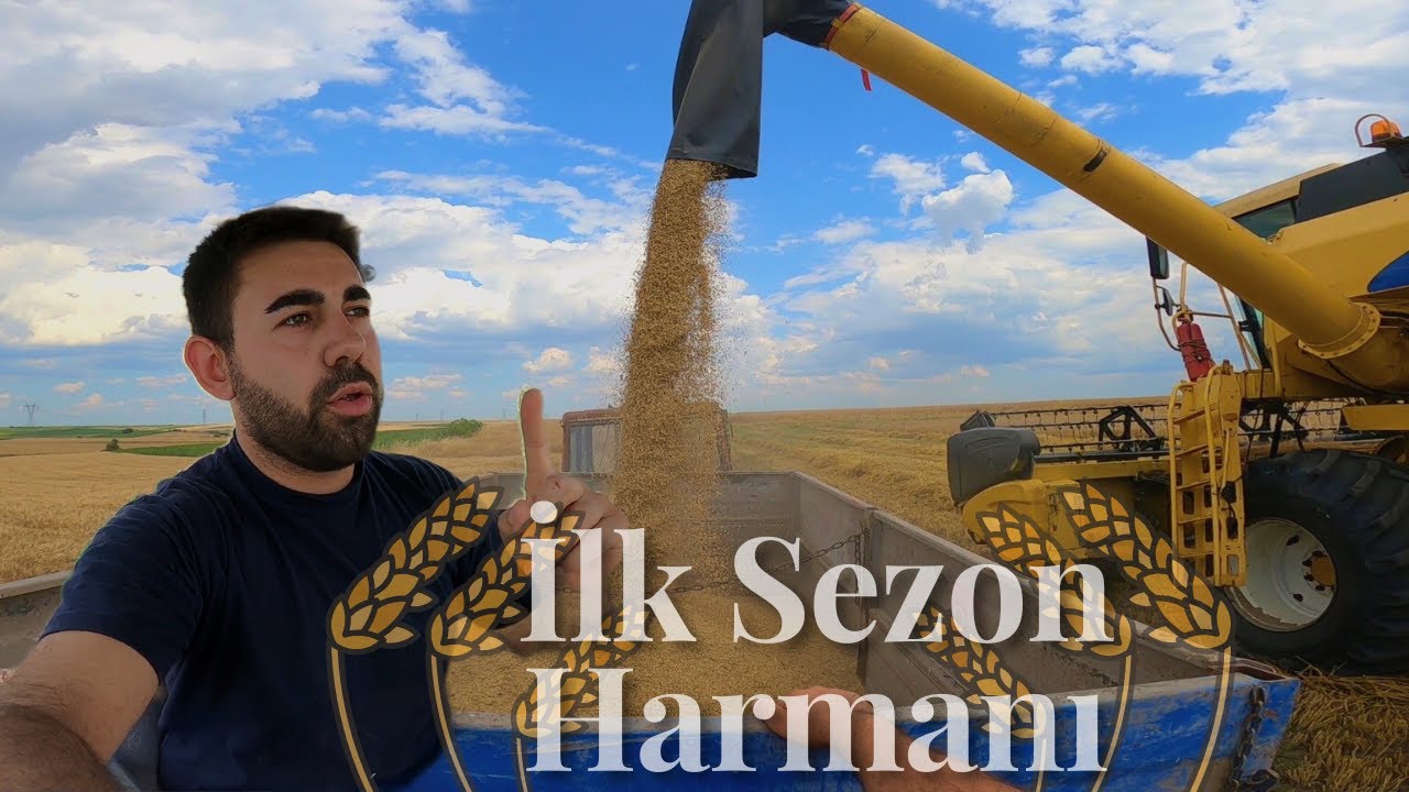 2022 TRAKYA ARPA HASADI | 2 sıralı Gazda arpalarımı biçiyorum / New Holland TC56