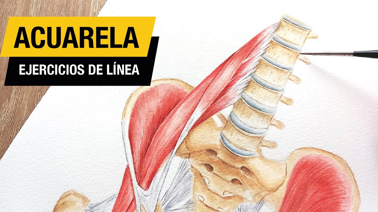 EJERCICIOS DE LÍNEA Y TRUCOS BÁSICOS PARA ACUARELA REALISTA