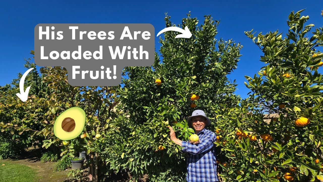 I Visited a Grafting Expert's Garden. It Was Amazing!