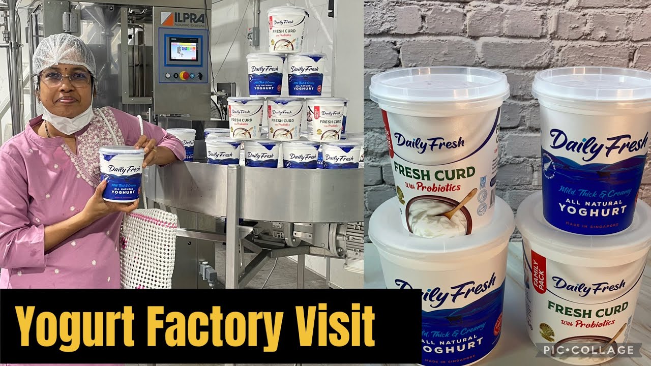 Посещение фермы Daily Fresh