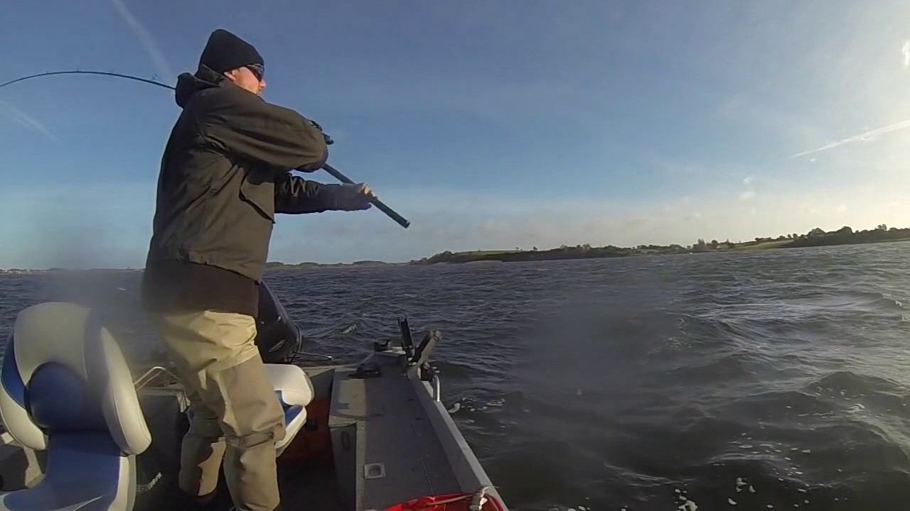 Stege Nor 2016   Predatorfishing