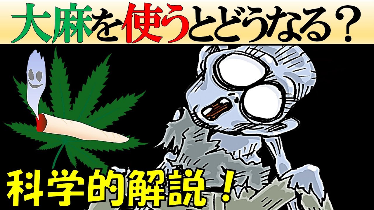 【科学的解説】実際どうなの？症状や危険性などについて徹底解剖