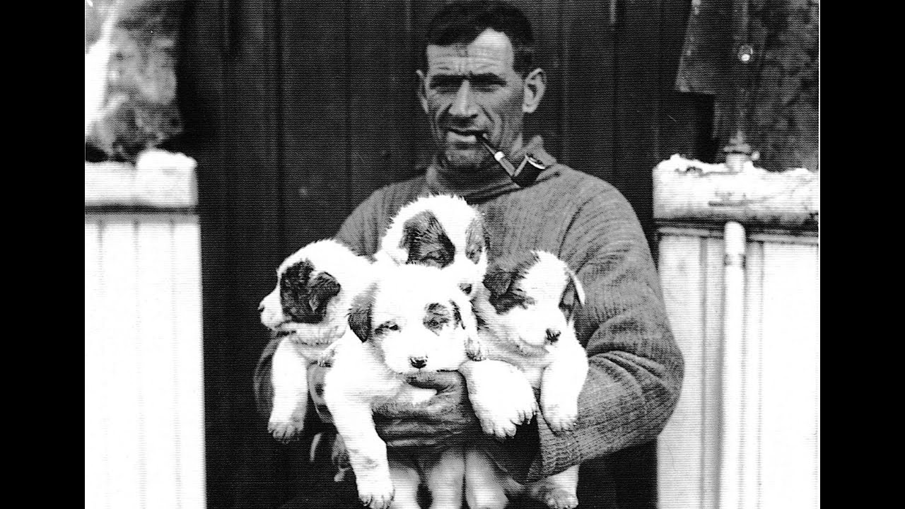 Tom Crean, Antarctic Explorer (The Ballad)