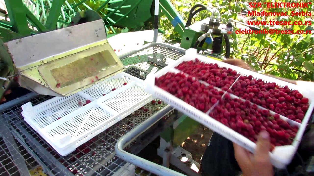 Berač malina 2016 / Raspberry harvesting machine SP-07