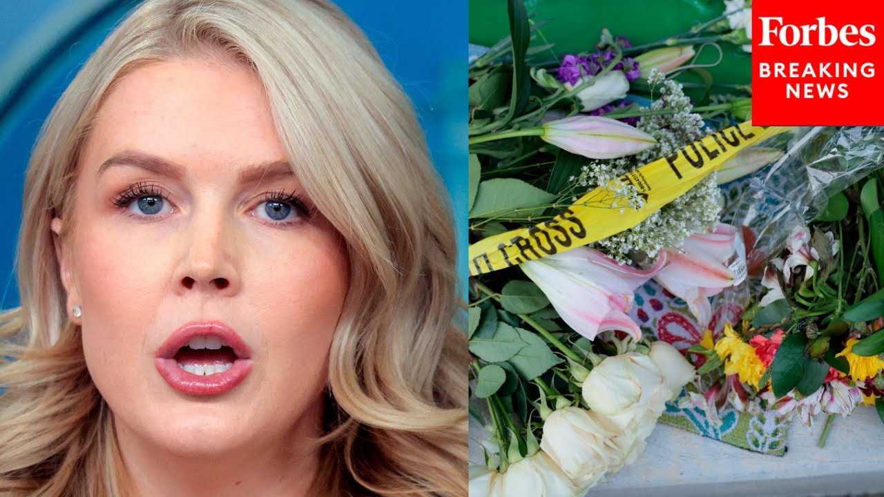 Karoline Leavitt: Mass Deportations Operations Are 'More Important Than Ever' After DC Shooting