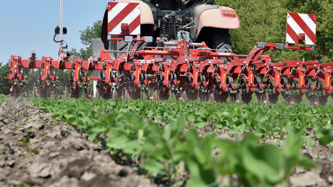 Hackgerät | Row-crop cultivator | Bineuse EINBÖCK CHOPSTAR 3-60 (Rübe, Soja,...)