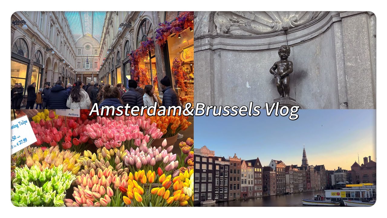 【Europa Vlog II 】世界一可愛い街並みと世界一美味しいチョコ｜オランダ＆ベルギーVlog🇳🇱🇧🇪