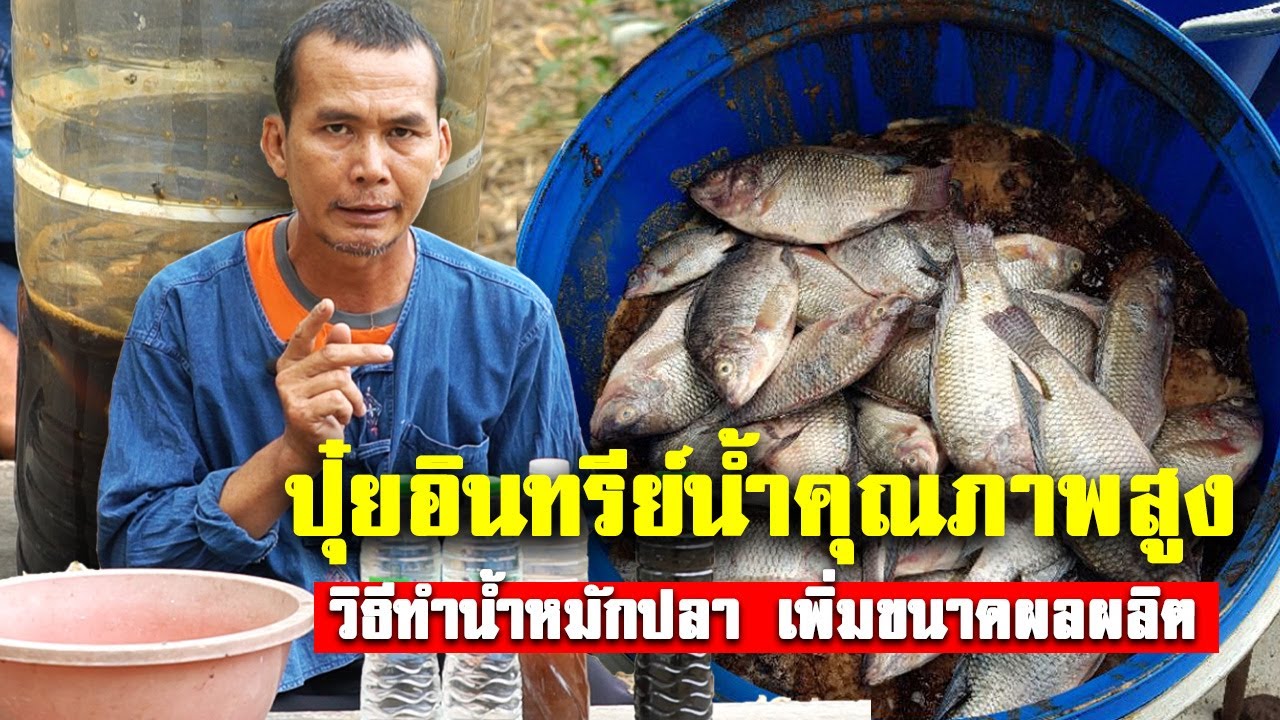 น้ำหมักปลา เร่งใบเขียว ติดดอกดี เร่งขยายผล #น้ำหมัก #เกร็ดความรู้ #นาข้าว